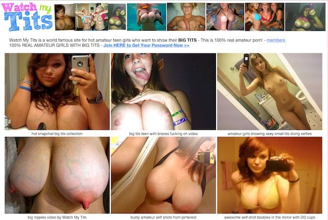 Amateur Big Boobs Free Porn Videos GF PICS - Free Amateur Porn pic